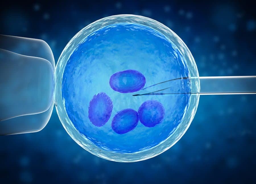 Image of a couple receiving IVF Treatment, a fertility treatment that involves the fertilization of an egg outside the body and then transferring the resulting embryo to the uterus. At our fertility clinic, we offer personalized IVF Treatment plans that are tailored to each patient's unique needs and circumstances. Our experienced fertility specialists use advanced techniques and technology to increase the chances of a successful pregnancy. We understand the emotional and physical challenges that come with fertility issues and offer compassionate care and support to our patients throughout the process. Contact us today to schedule a consultation and learn more about how we can help you achieve your dream of starting a family with IVF Treatment.