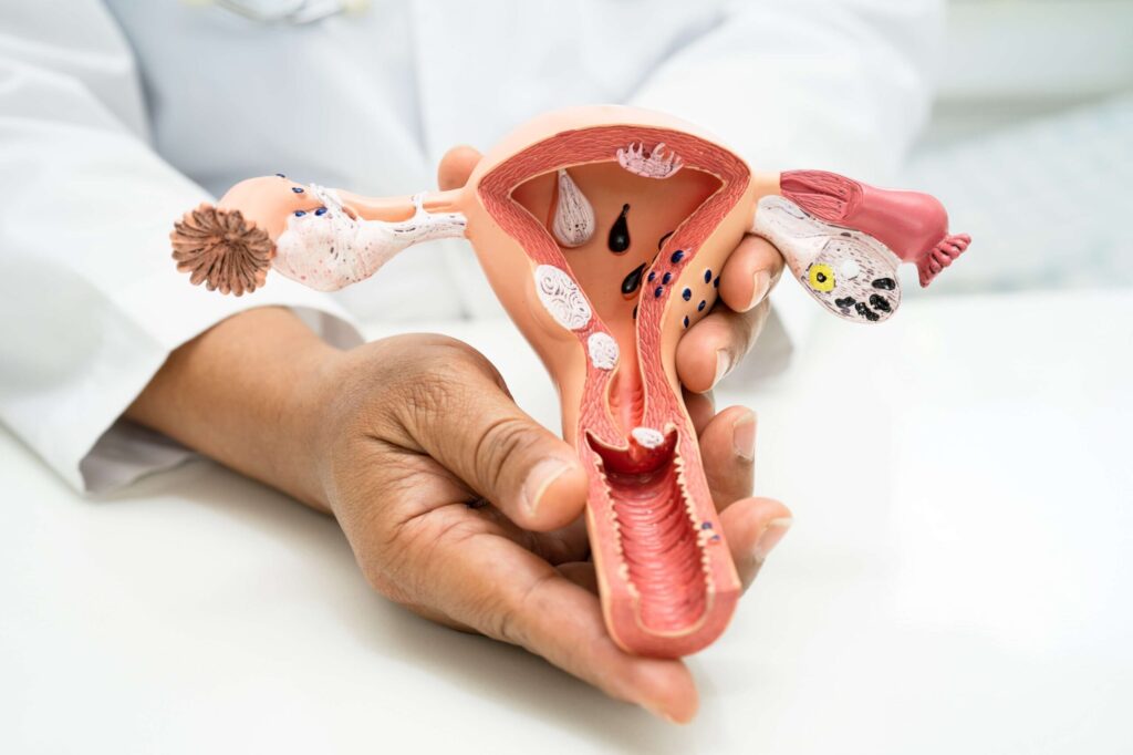 Genital Aesthetics