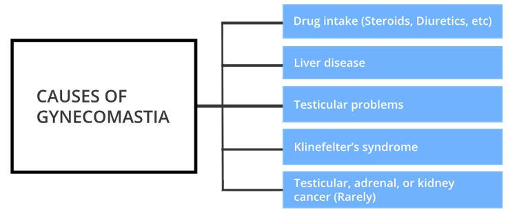 causes of Gynecomastia