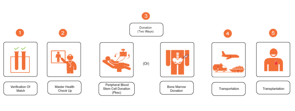 Bone Marrow Transplant Procedure
