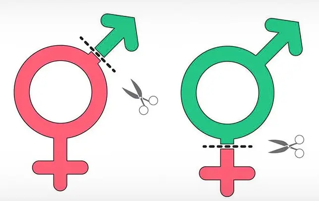 Best Value Transgender Surgery Cost 2026 In Turkey - Cayra Clinic 336 Transgender-surgery