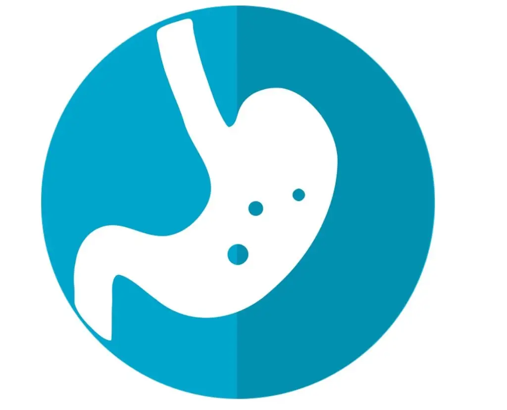 What Are The Side Effects and Risks of Gastric Bypass 230 Side Effects and Risks of Gastric Bypass